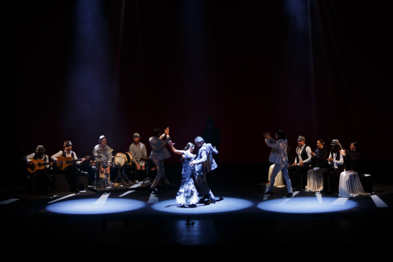 Pandora Producciones - Sara Baras - Sombras - León - 2018