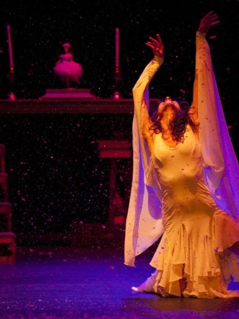 Pandora Producciones - Almenara Mágica - Laguna de Duero - 2015