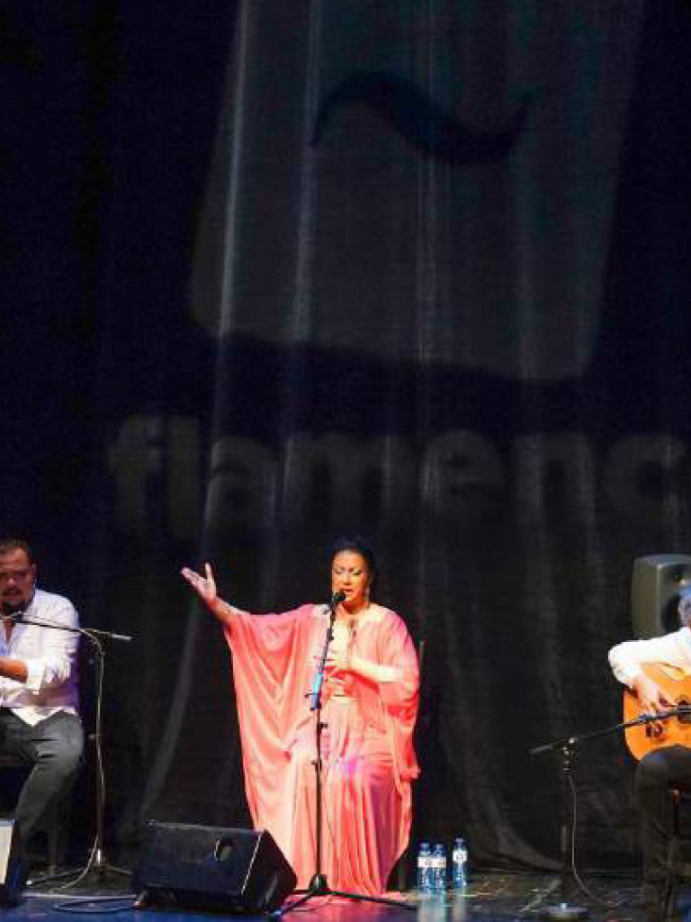 Pandora Producciones - Fundos Forum - 2021 - LA FABI (Flamenco)