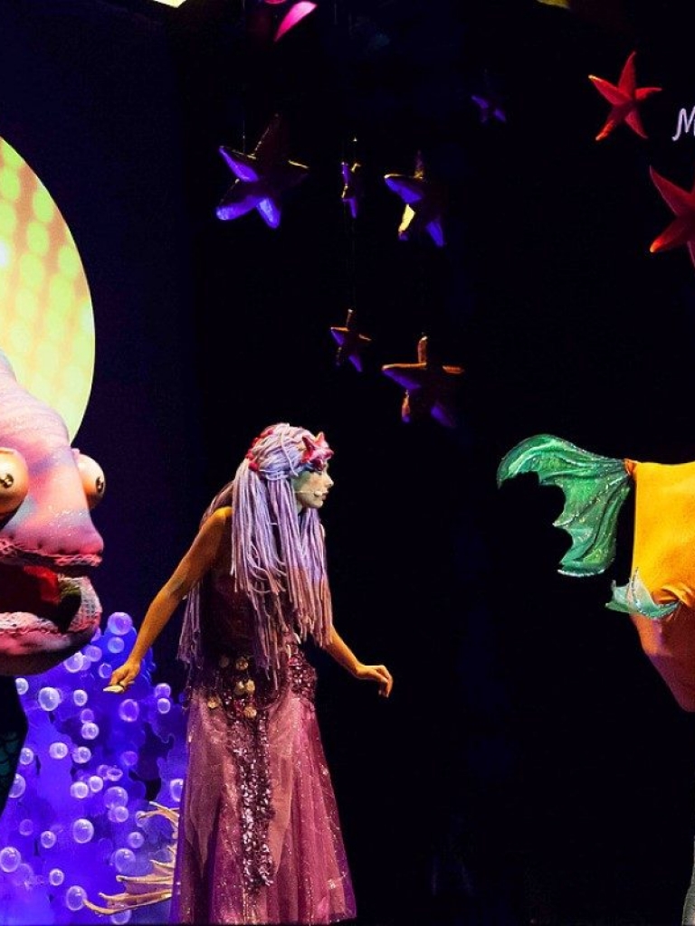 La Sirenita - Una Aventura Ecológica - Zaragoza - 2017