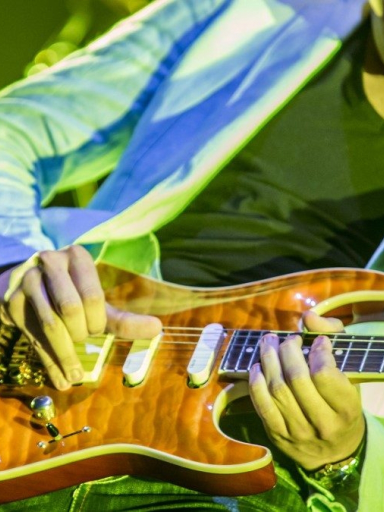 Pandora Producciones - Tributo a Dire Straits - Brothers in Bands